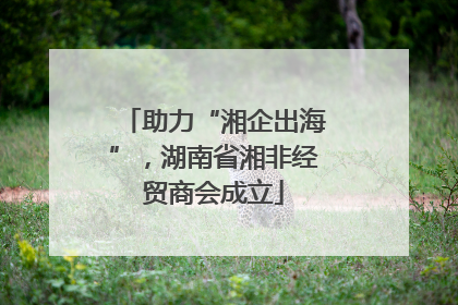 助力“湘企出海”，湖南省湘非经贸商会成立