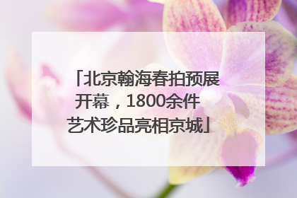 北京翰海春拍预展开幕，1800余件艺术珍品亮相京城