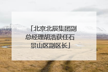 北京北辰集团副总经理胡浩获任石景山区副区长