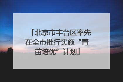 北京市丰台区率先在全市推行实施“青苗培优”计划