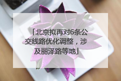 北京拟再对6条公交线路优化调整，涉及丽泽路等地