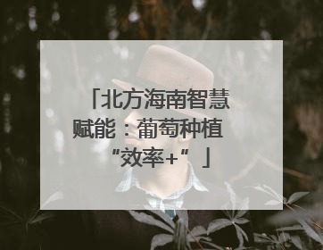 北方海南智慧赋能：葡萄种植“效率+”