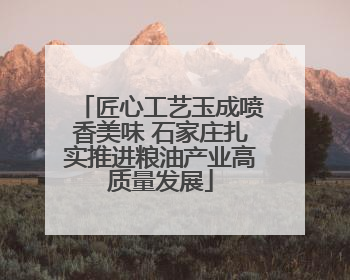 匠心工艺玉成喷香美味 石家庄扎实推进粮油产业高质量发展
