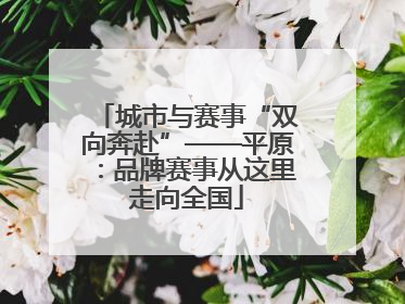 城市与赛事“双向奔赴”——平原：品牌赛事从这里走向全国