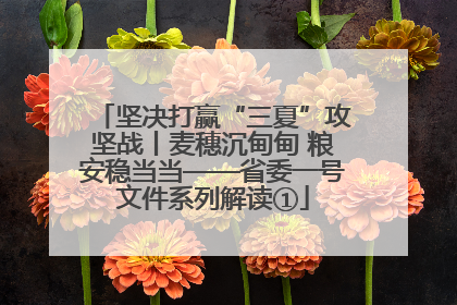 坚决打赢“三夏”攻坚战丨麦穗沉甸甸 粮安稳当当——省委一号文件系列解读①