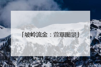 坡岭流金：萱草图景