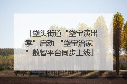 垡头街道“垡宝演出季”启动 “垡宝治家”数智平台同步上线