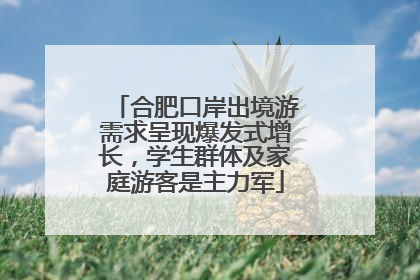 合肥口岸出境游需求呈现爆发式增长，学生群体及家庭游客是主力军