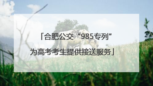 合肥公交“985专列”为高考考生提供接送服务