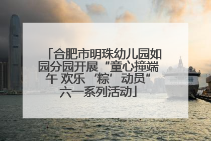 合肥市明珠幼儿园如园分园开展“童心撞端午 欢乐‘粽’动员”六一系列活动