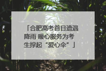 合肥高考首日遭遇降雨 暖心服务为考生撑起“爱心伞”