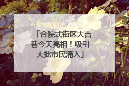 合院式街区大吉巷今天亮相！吸引大批市民涌入