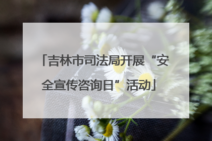 吉林市司法局开展“安全宣传咨询日”活动