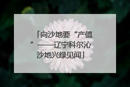 向沙地要“产值”——辽宁科尔沁沙地兴绿见闻
