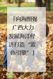 向海图强 广西大力发展海洋经济打造“蓝色引擎”
