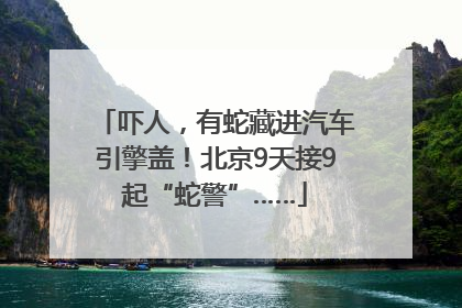 吓人，有蛇藏进汽车引擎盖！北京9天接9起“蛇警”……
