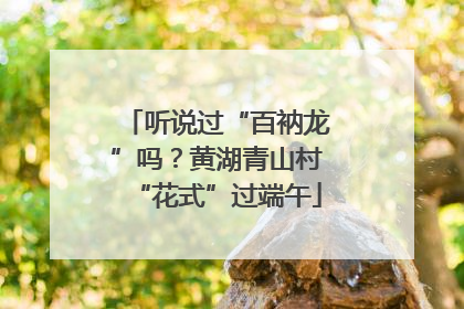 听说过“百衲龙”吗？黄湖青山村“花式”过端午