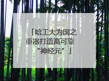 哈工大为国之重器打造高可靠“神经元”