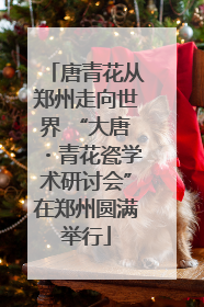 唐青花从郑州走向世界 “大唐・青花瓷学术研讨会”在郑州圆满举行