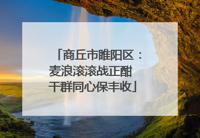 商丘市睢阳区：麦浪滚滚战正酣 干群同心保丰收