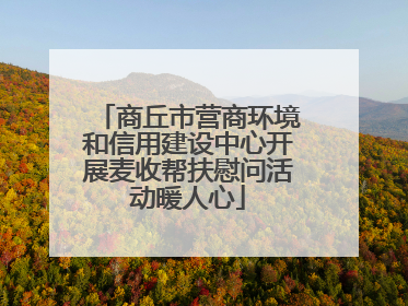 商丘市营商环境和信用建设中心开展麦收帮扶慰问活动暖人心