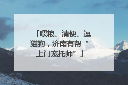喂粮、清便、逗猫狗，济南有帮“上门宠托师”