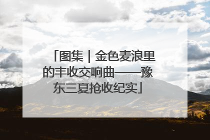 图集｜金色麦浪里的丰收交响曲——豫东三夏抢收纪实