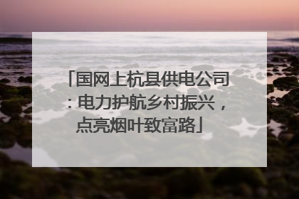 国网上杭县供电公司：电力护航乡村振兴，点亮烟叶致富路