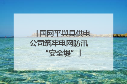 国网平舆县供电公司筑牢电网防汛“安全堤”