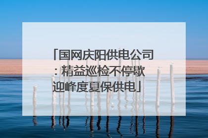 国网庆阳供电公司：精益巡检不停歇 迎峰度夏保供电