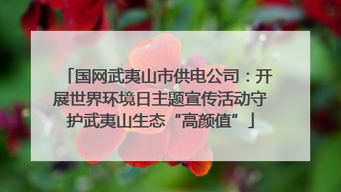国网武夷山市供电公司：开展世界环境日主题宣传活动守护武夷山生态“高颜值”