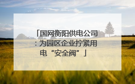 国网衡阳供电公司：为园区企业拧紧用电“安全阀”