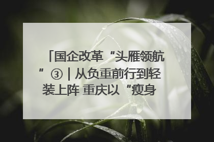 国企改革“头雁领航”③｜从负重前行到轻装上阵 重庆以“瘦身”谋“健体”