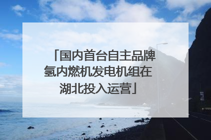 国内首台自主品牌氢内燃机发电机组在湖北投入运营