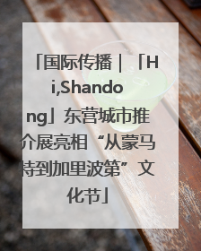 国际传播｜「Hi,Shandong」东营城市推介展亮相“从蒙马特到加里波第”文化节