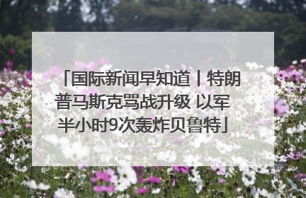 国际新闻早知道丨特朗普马斯克骂战升级 以军半小时9次轰炸贝鲁特