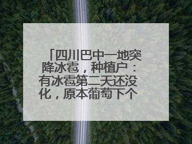 四川巴中一地突降冰雹，种植户：有冰雹第二天还没化，原本葡萄下个月上市，现在全被打落