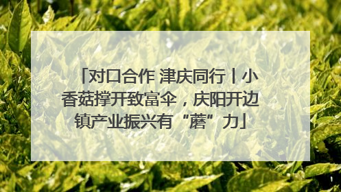 对口合作 津庆同行丨小香菇撑开致富伞，庆阳开边镇产业振兴有“蘑”力