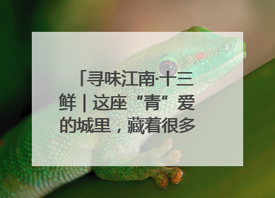 寻味江南·十三鲜｜这座“青”爱的城里，藏着很多“洋气”美食