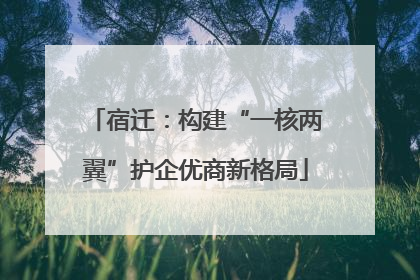 宿迁：构建“一核两翼”护企优商新格局