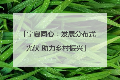 宁夏同心：发展分布式光伏 助力乡村振兴