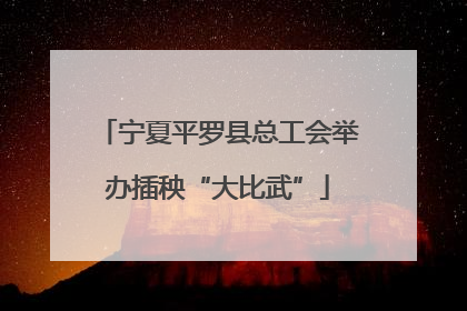 宁夏平罗县总工会举办插秧“大比武”