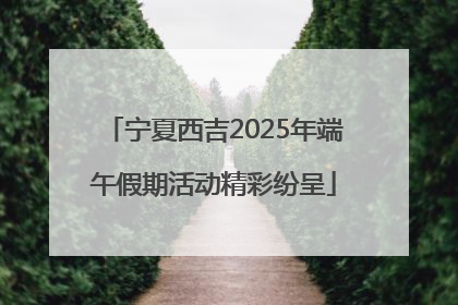 宁夏西吉2025年端午假期活动精彩纷呈