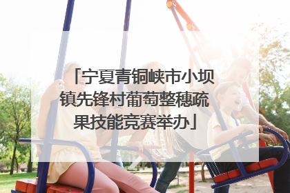 宁夏青铜峡市小坝镇先锋村葡萄整穗疏果技能竞赛举办