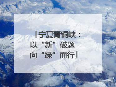 宁夏青铜峡：以“新”破题 向“绿”而行