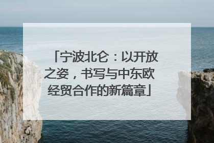 宁波北仑：以开放之姿，书写与中东欧经贸合作的新篇章