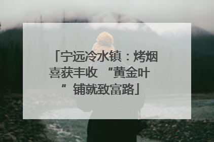宁远冷水镇：烤烟喜获丰收 “黄金叶”铺就致富路