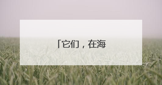 它们，在海南生机无限