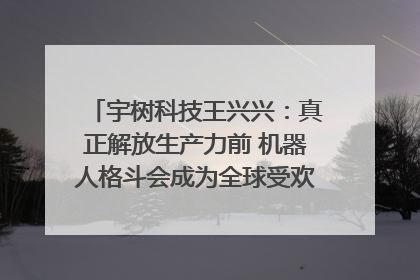 宇树科技王兴兴：真正解放生产力前 机器人格斗会成为全球受欢迎的赛事｜科技观察