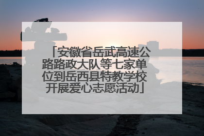 安徽省岳武高速公路路政大队等七家单位到岳西县特教学校开展爱心志愿活动